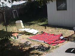 The backyard